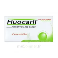 Fluocaril Bi-fluoré 250 Mg Pâte Dentifrice Menthe 2t/125ml à BOUILLARGUES