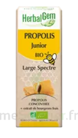 Herbalgem Propolis Large Spectre Solution Buvable Bio Junior Fl Cpte-gttes/15ml à BOUILLARGUES